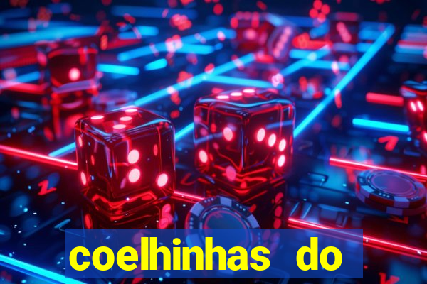 coelhinhas do brasil acompanhantes